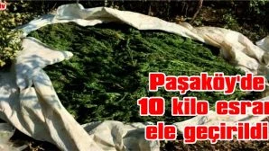 Paşaköy’de 10 Kilo Esrar Ele Geçirildi
