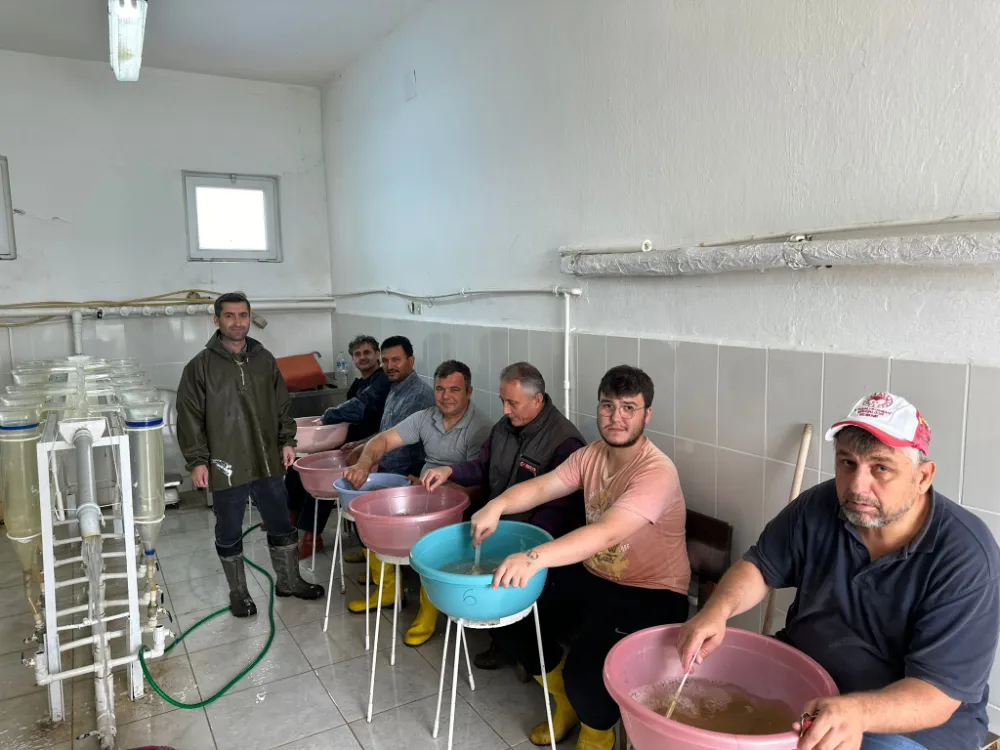 Tesis, Balık Üretim Fabrikası Gibi Çalışıyor