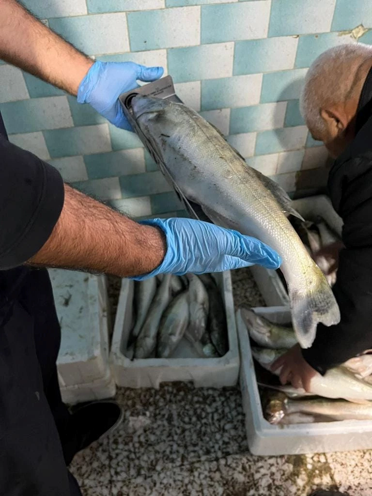 İpsala’da Su Ürünleri İlgili Kuruluşlar Denetlendi.