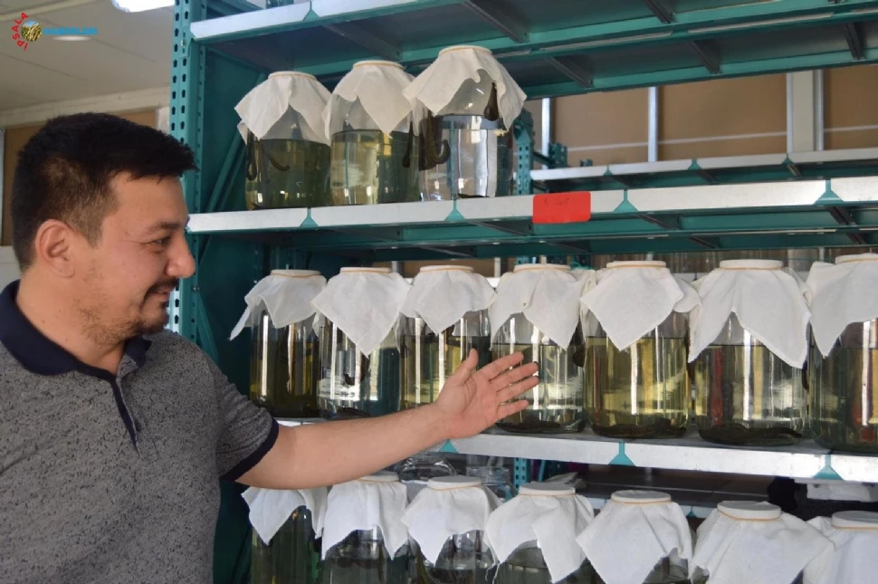 “Yılda 3 Milyon Sülük Hedefine Ulaşmak Üzereyiz”