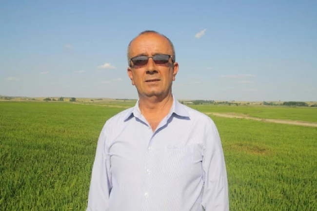 Türkiye Yerli Pirince Doyacak..