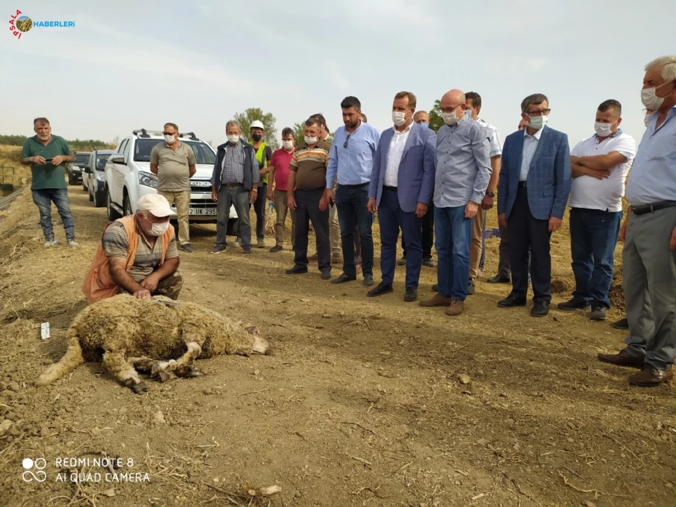 Binlerce Arazi Bu Proje İle Hayat Bulacak.