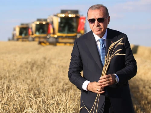 Cumhurbaşkanı Erdoğan Buğday Ve Arpa Alım Fiyatlarını Açıkladı
